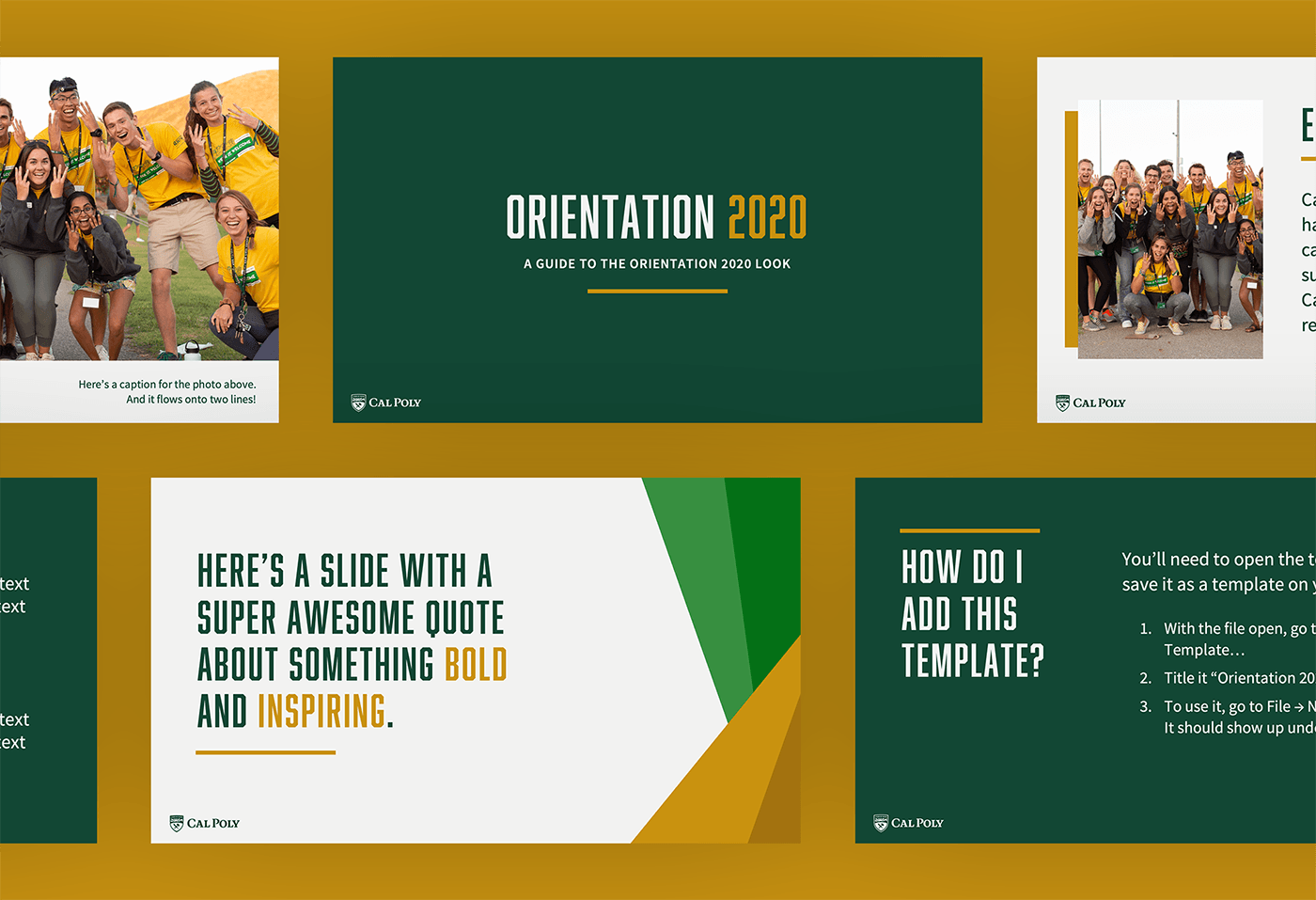 Six slides from the Orientation 2020 PowerPoint template shown side-by-side in two rows, with three slides in each row. They are filled with placeholder images and text and set against a gold background.